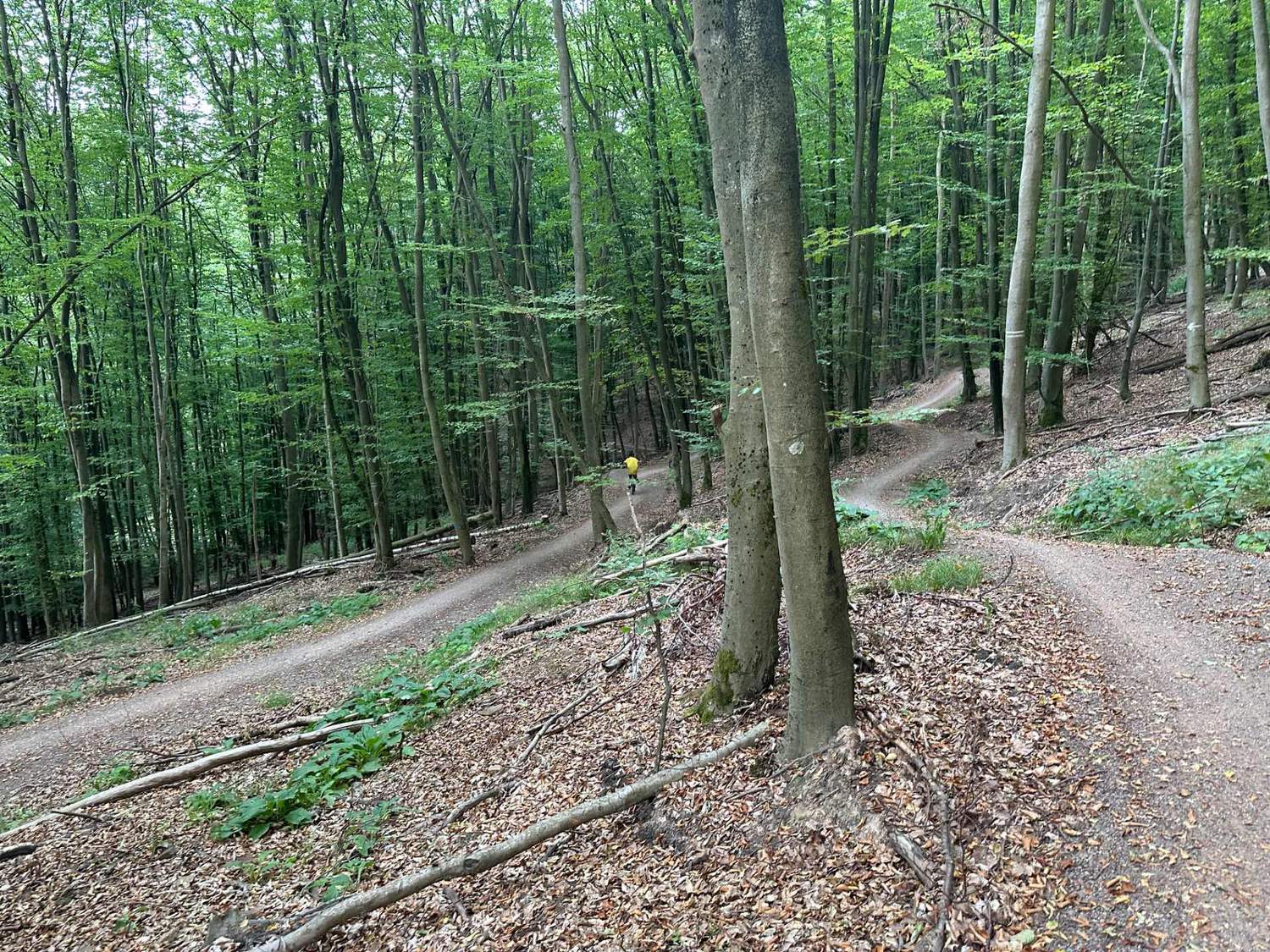 GreenTrails10